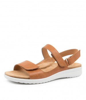 Brown White Women Ziera Benji (Extra Wide) Sandals | Z-041936