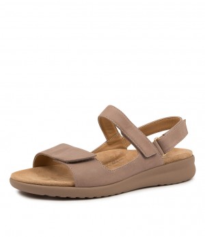 Grey Brown / Grey Brown Women Ziera Benji (Wide) Sandals | Z-069158